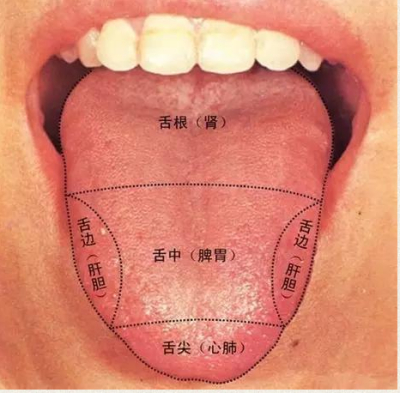 望舌辨体质