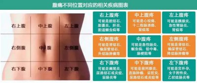 一张图告诉你各种“肚子痛”的原因