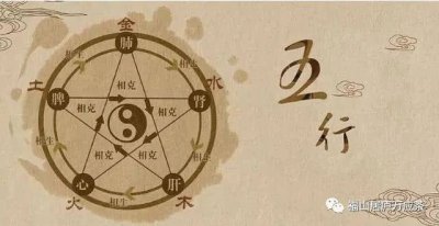 五脏之间的关系基础介绍