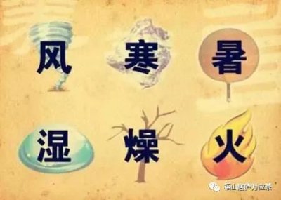 中医所说的发物（中医发物）是什么？