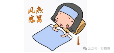 风热感冒食疗及药物治疗